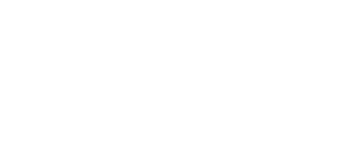 UNB logo